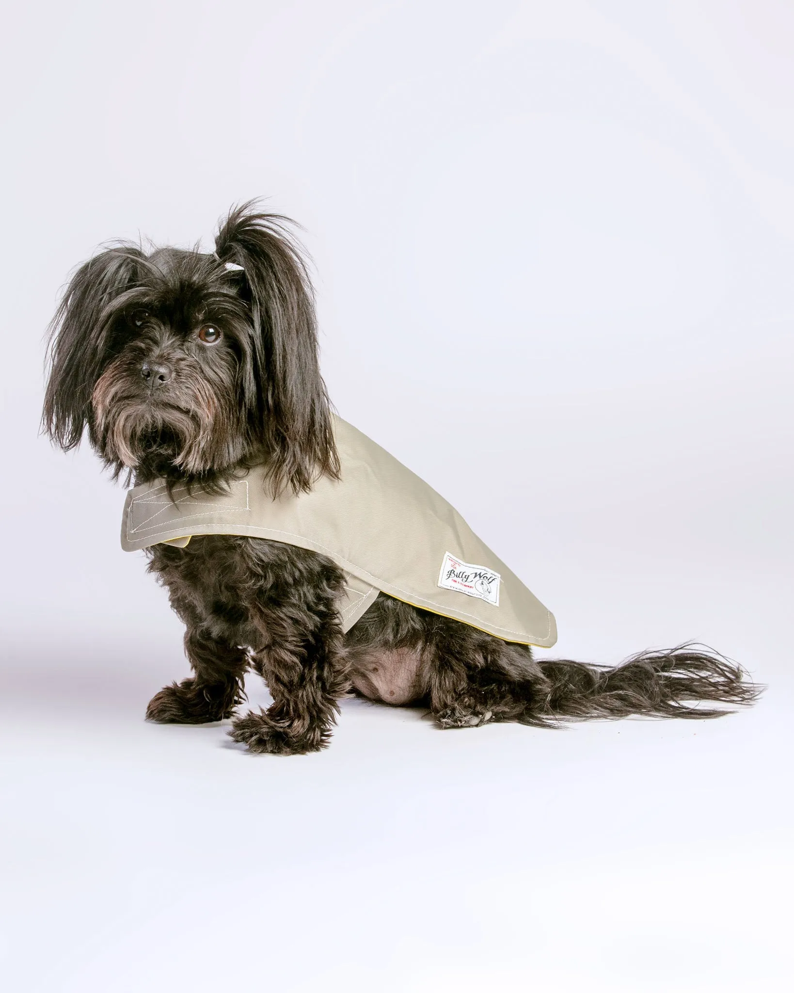 Carson Reversible Dog Raincoat in Khaki & Yellow (Made in the USA) << FINAL SALE >>