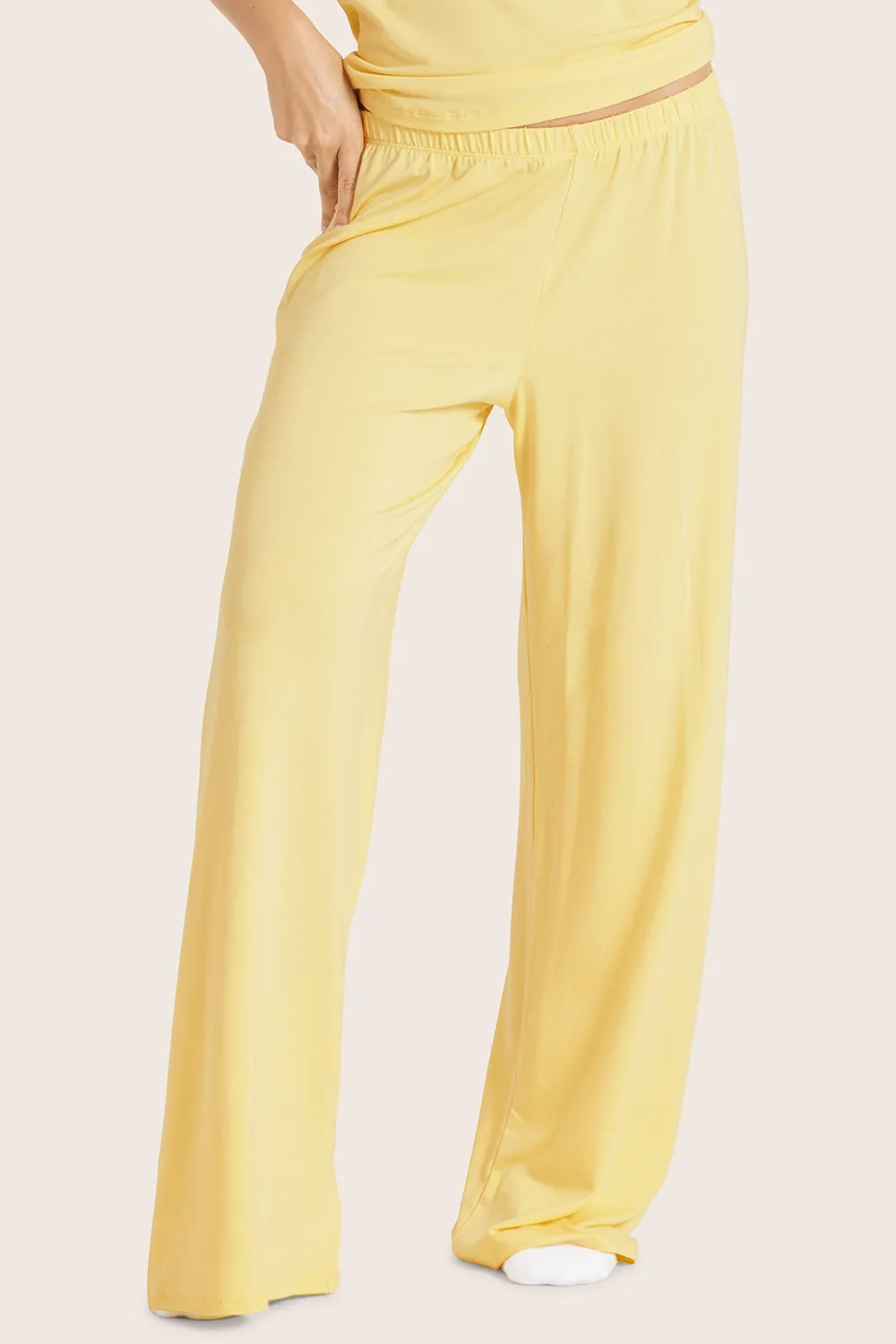 SLEEP JERSEY CLASSIC SLEEP PANTS - DANDELION